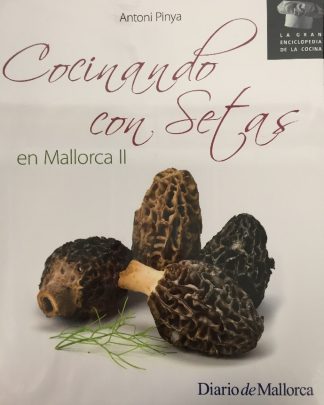 Cocinando con setas II