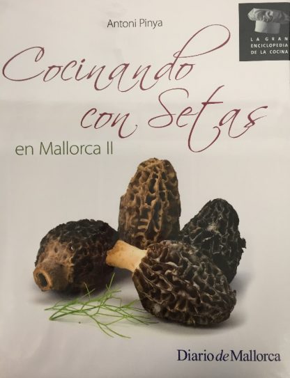 Cocinando con setas II
